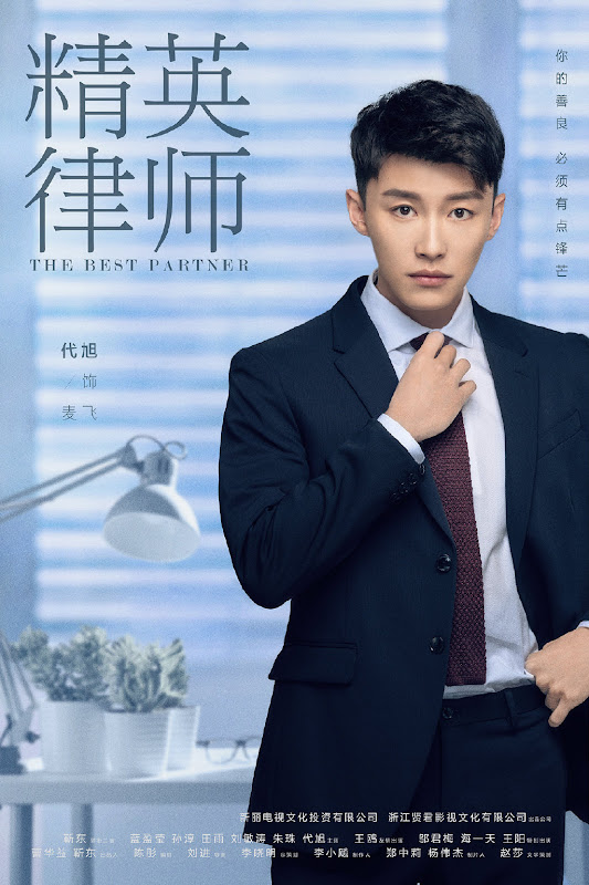 The Best Partner China Drama